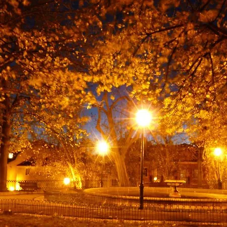 The Back Yard Nest *