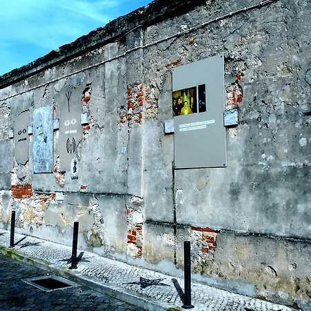 The Back Yard Nest *