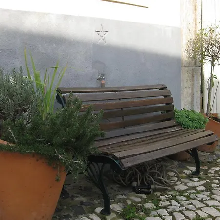 The Back Yard Nest *