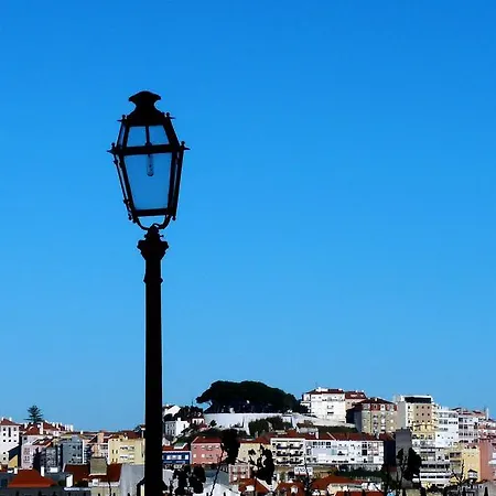 The Back Yard Nest Lisbon