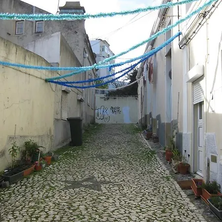 The Back Yard Nest Apartment Lisbon