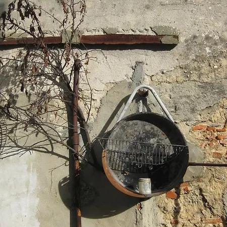 The Back Yard Nest Lisbon