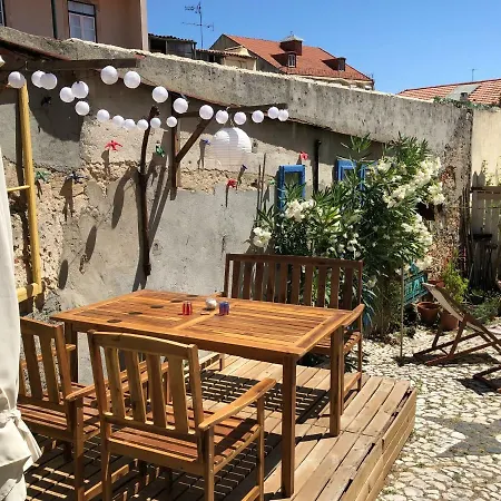 The Back Yard Nest *