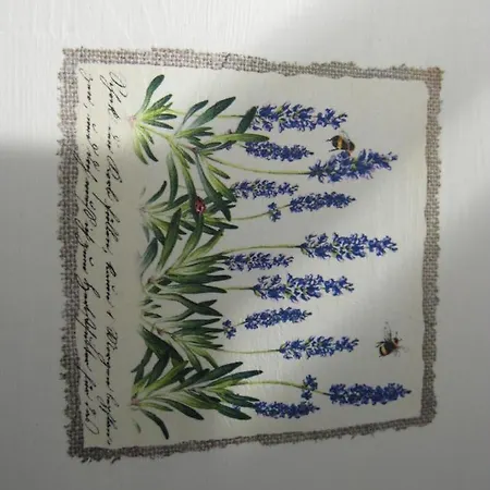 The Back Yard Nest *