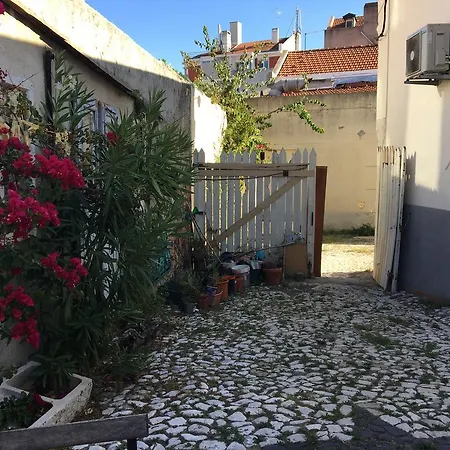 The Back Yard Nest Apartament Lizbona