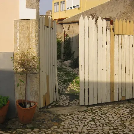 The Back Yard Nest * Lisbon
