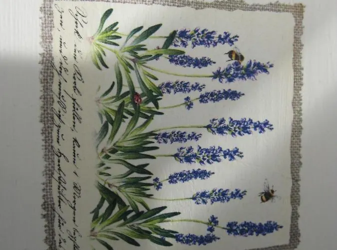 The Back Yard Nest *